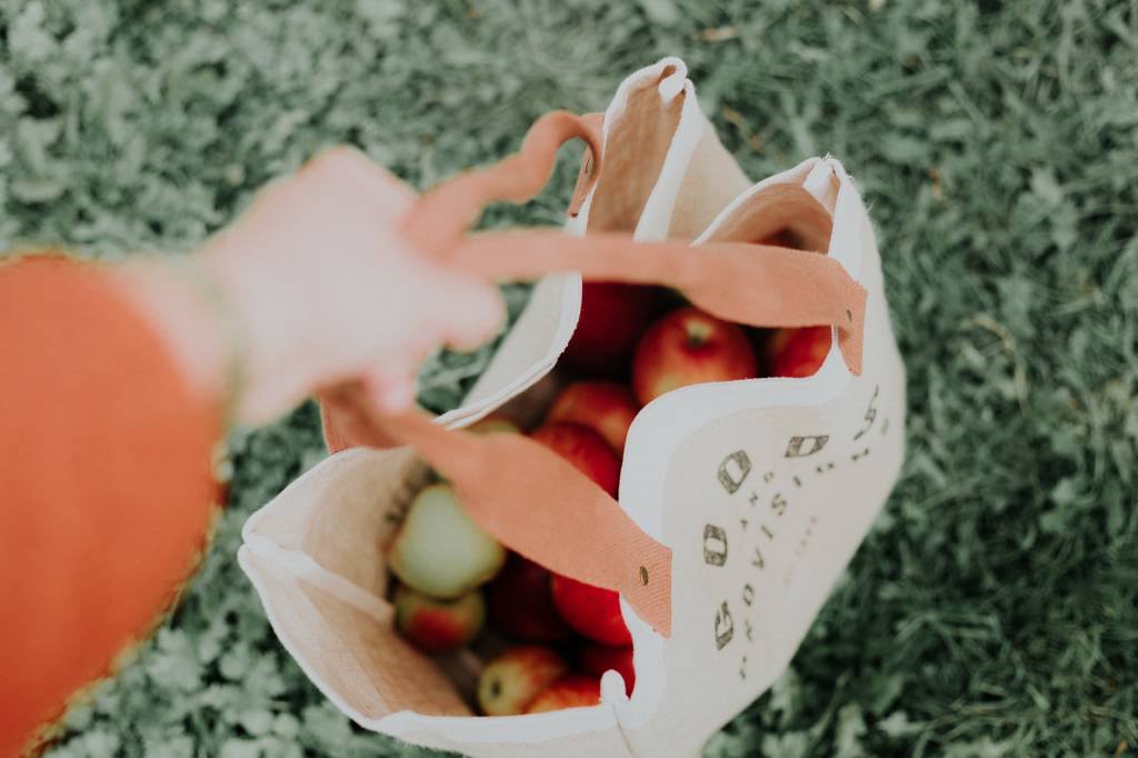 reduzir-plastico-ecobags ecobag
