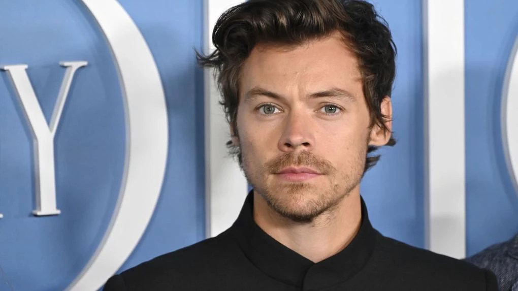 Harry Styles é perseguida por brasileira em Londres.