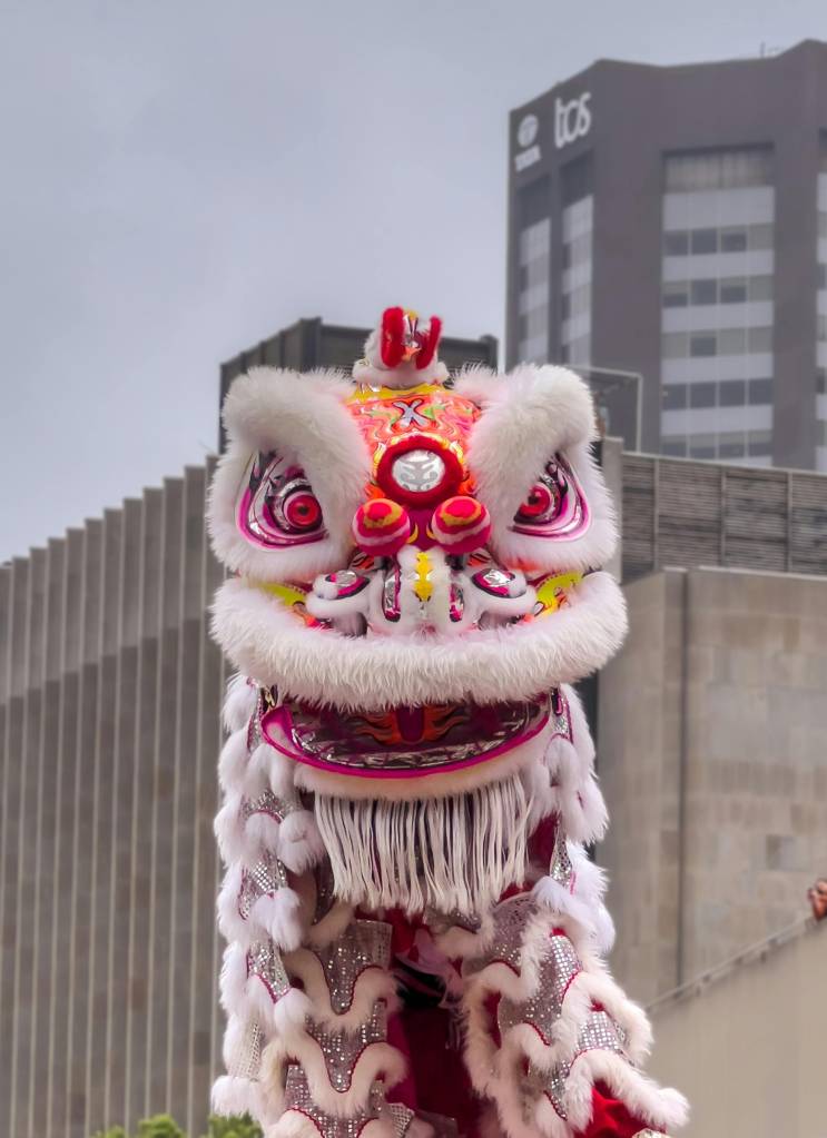 elementos-astrologia-chinesa-Dragão-animal-de-2024