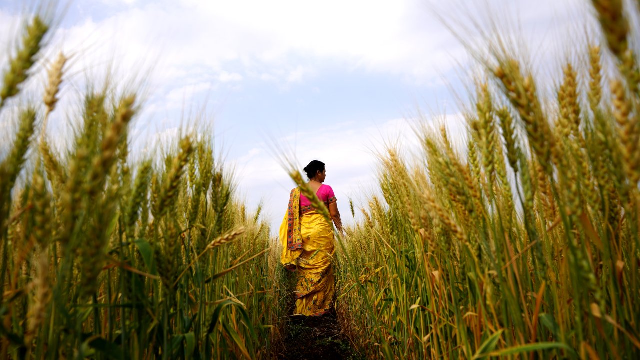 Mulher viajando na Índia vestindo sari amarelo e caminhando por paisagem verde