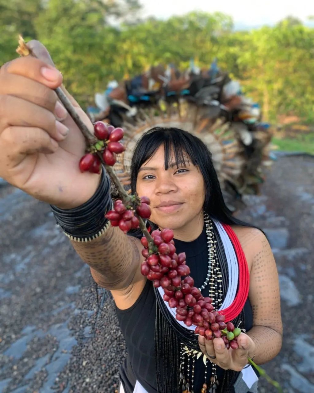 Celesty Suruí é a primeira barista indígena do Brasil