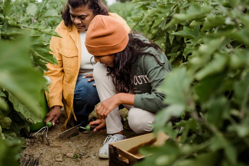 flores e hortaliças para plantar no outono, por que plantar