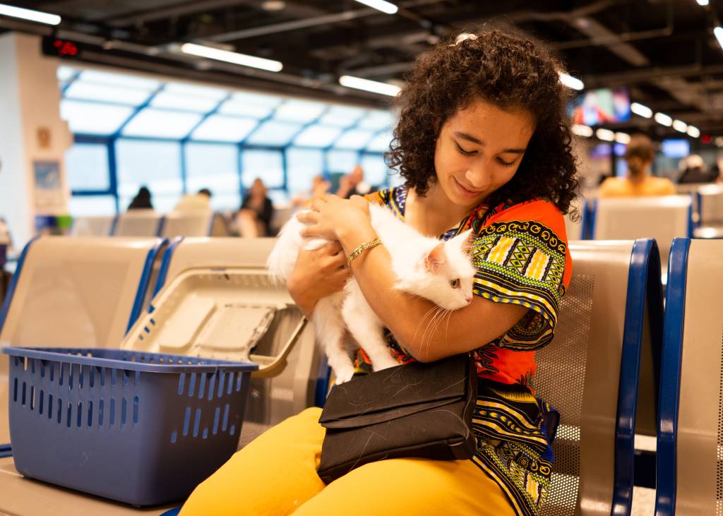 viajar-com-pets-saude-cuidados.jpg Como levar seu pet no avião? Veja dicas e documentos necessários