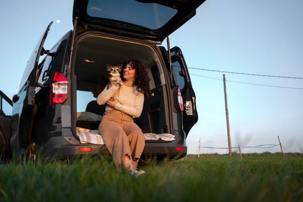 Dicas para viajar de carro com seu pet com segurança