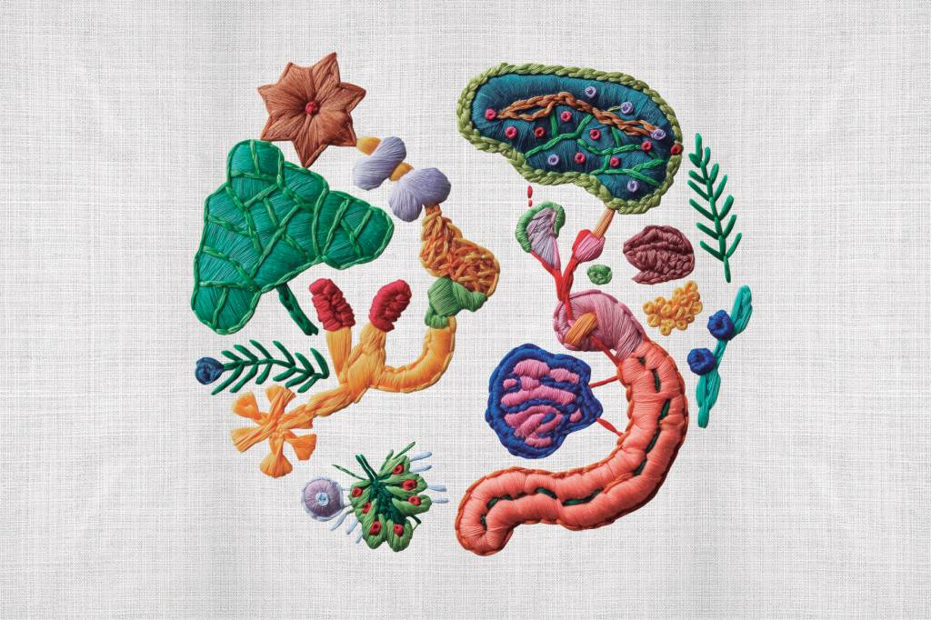 saúde-intestinal Intestino