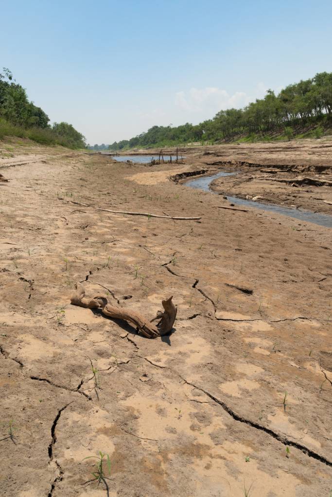 Dry riverbed of Amazon river sidearm (II) “Novo El Niño”? Entenda como funciona o mais novo fenômeno climático