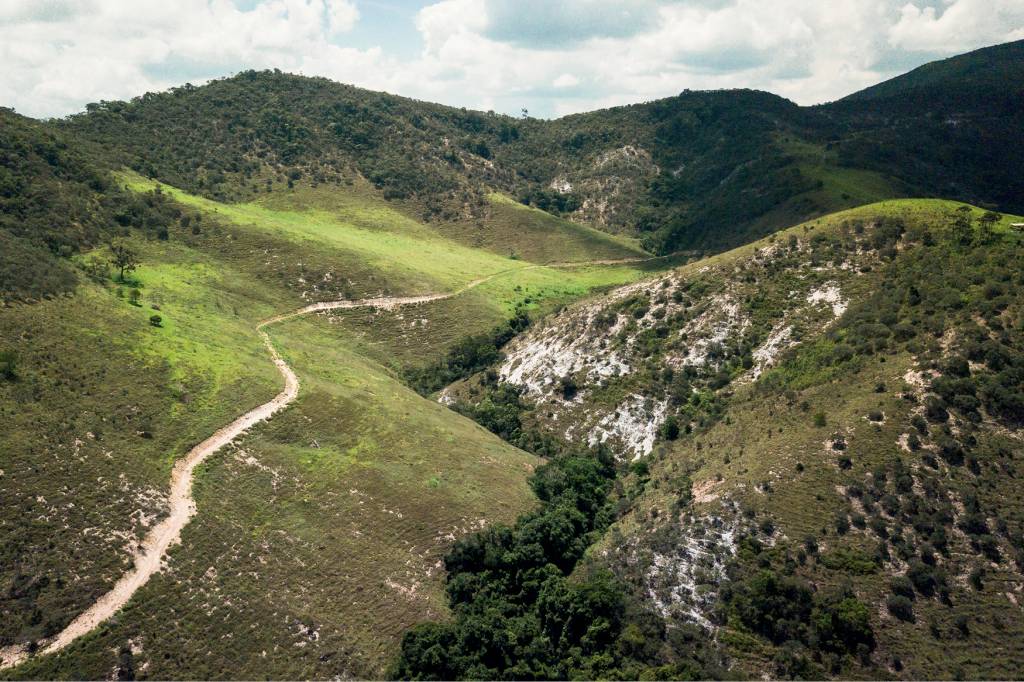 O leite de vaca emite muito mais gases de efeito estufa do que os vegetais