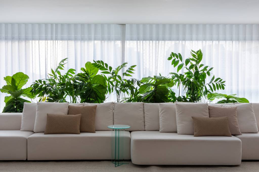 Plantas na decoração de uma sala de estar