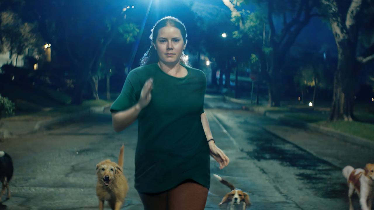 Crítica de Canina (Nightbitch)
