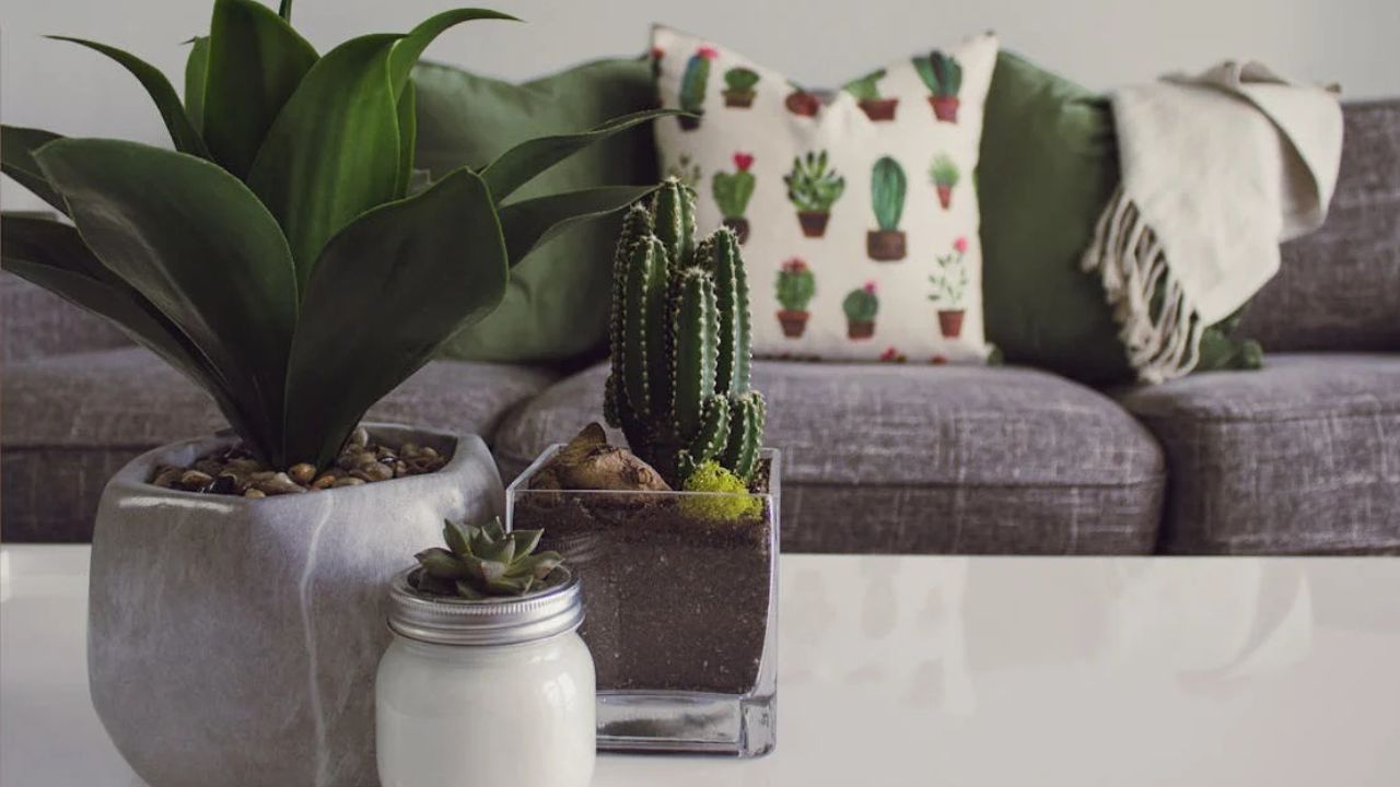 Renove a decoração da sua casa com esses itens