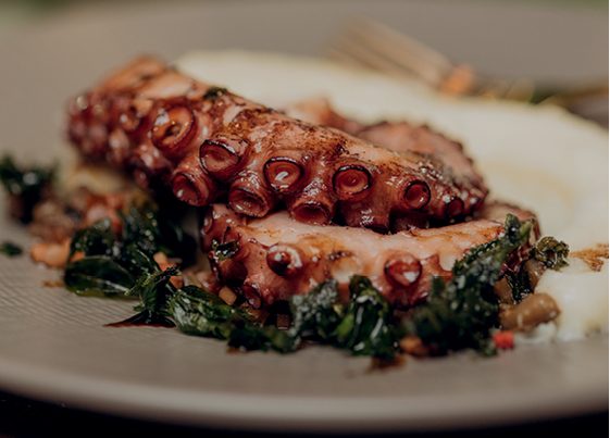 Polvo grelhado com caponata