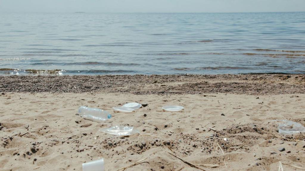 Contaminação por Norovírus: quais praias brasileiras devem ser evitadas?