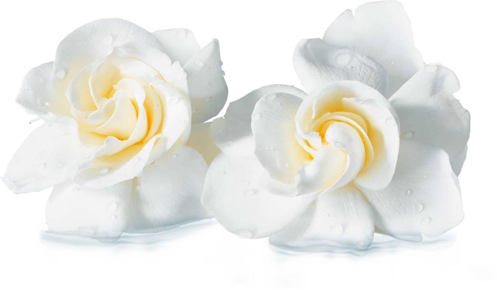 Amaciante de roupas pode ser a solução para manter as roupas mais fresquinhas no verão