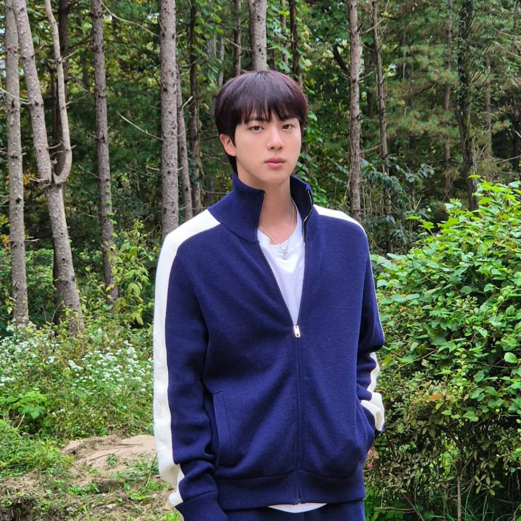 Jin, sucesso no BTS