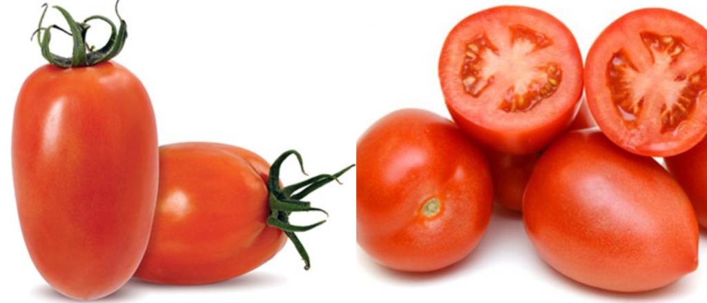 Tomate italiano e tomate Débora são os mais indicados para fazer molho de tomate caseiro