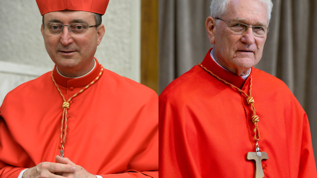 Papa brasileiro? As chances do Brasil na sucessão de Francisco