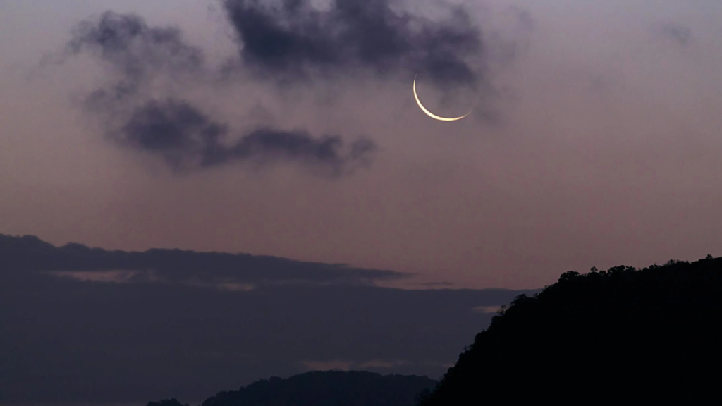 A lua nova é ideal para cortes radicais