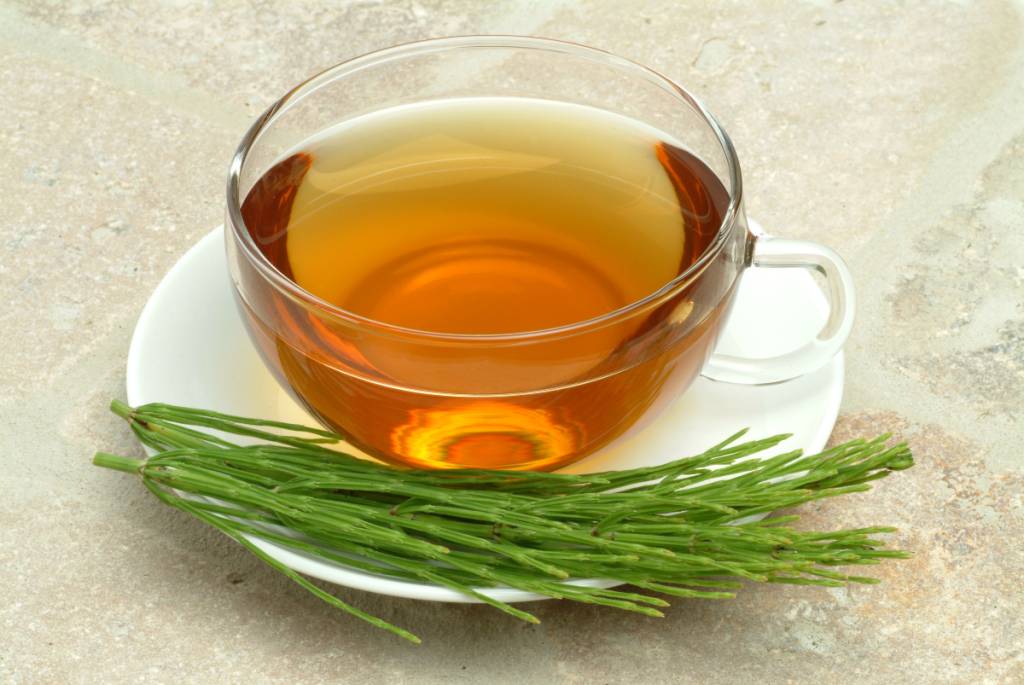 Chá de cavalinha: benefícios, mitos e verdades