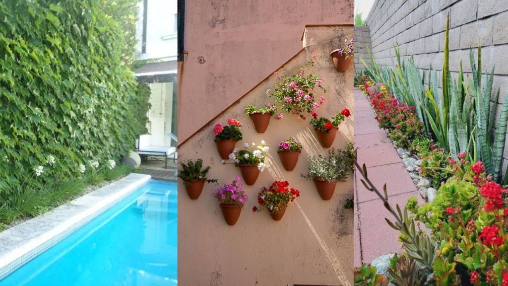 Como renovar o muro da casa: 5 ideias criativas e econômicas