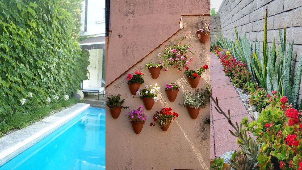 Três imagens de muros com plantas