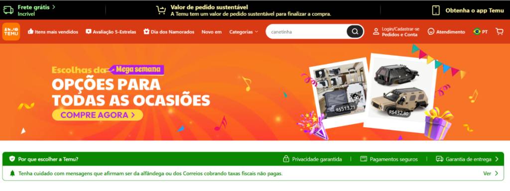 Site oficial da loja Temu tem avisos de segurança na parte inicial