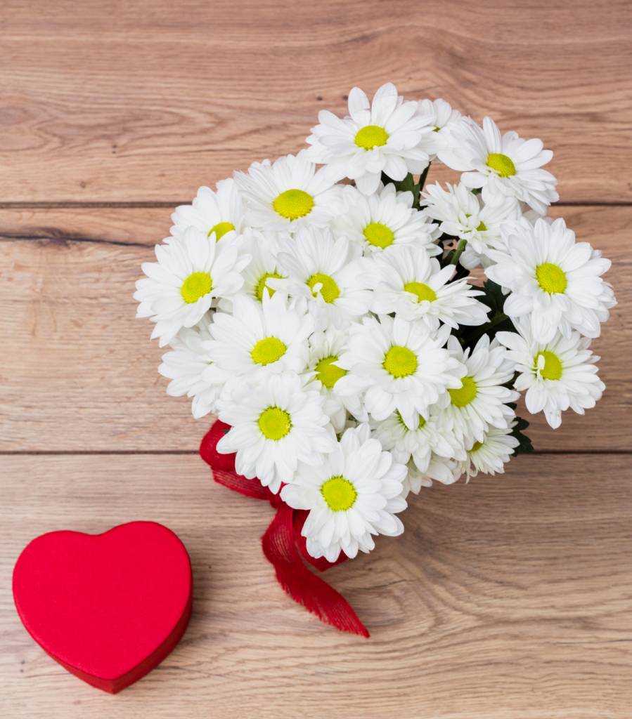 Margaridas são presente delicado para o Dia das Mães