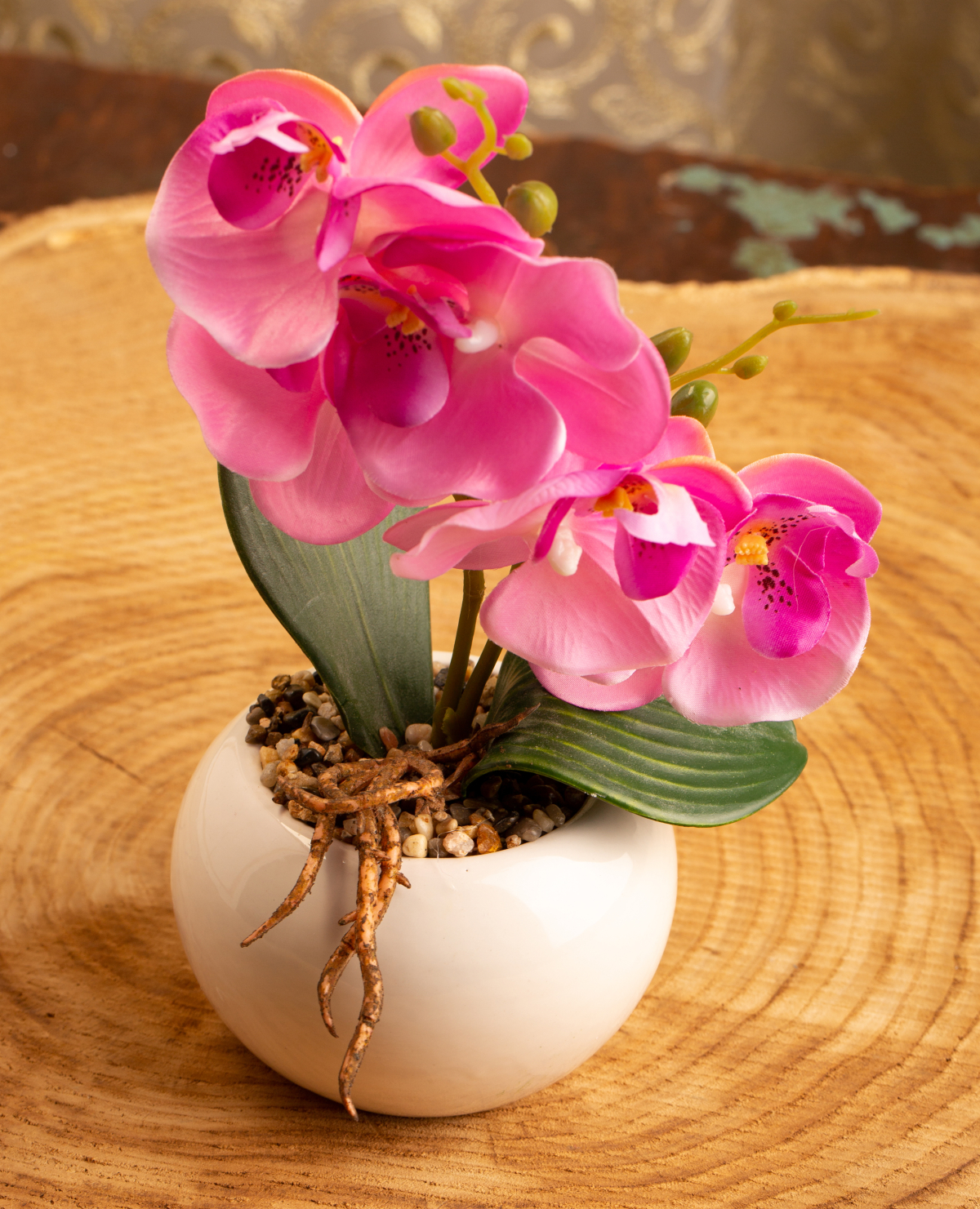Orquídeas podem florir por semanas, agradando sua mãe