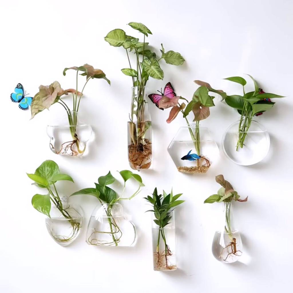 transformar-parede-branca-gastando-pouco-plantas (1) Plantas colocadas em vidros reaproveitados deixam a parede branca linda