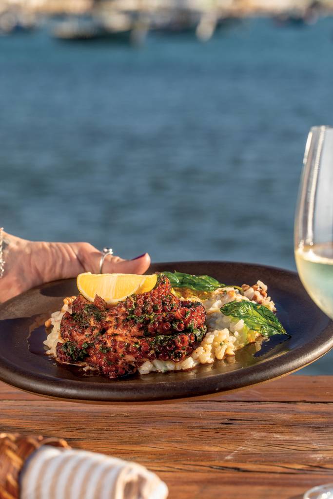 Polvo confit, paella cremosa e uma vista que rouba a cena