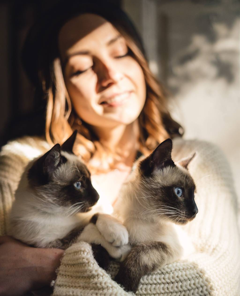 Portrait woman with Siamese cats Mostra dois gatos em estado de alerta no colo de sua dona, enquanto a moça parece tranquila