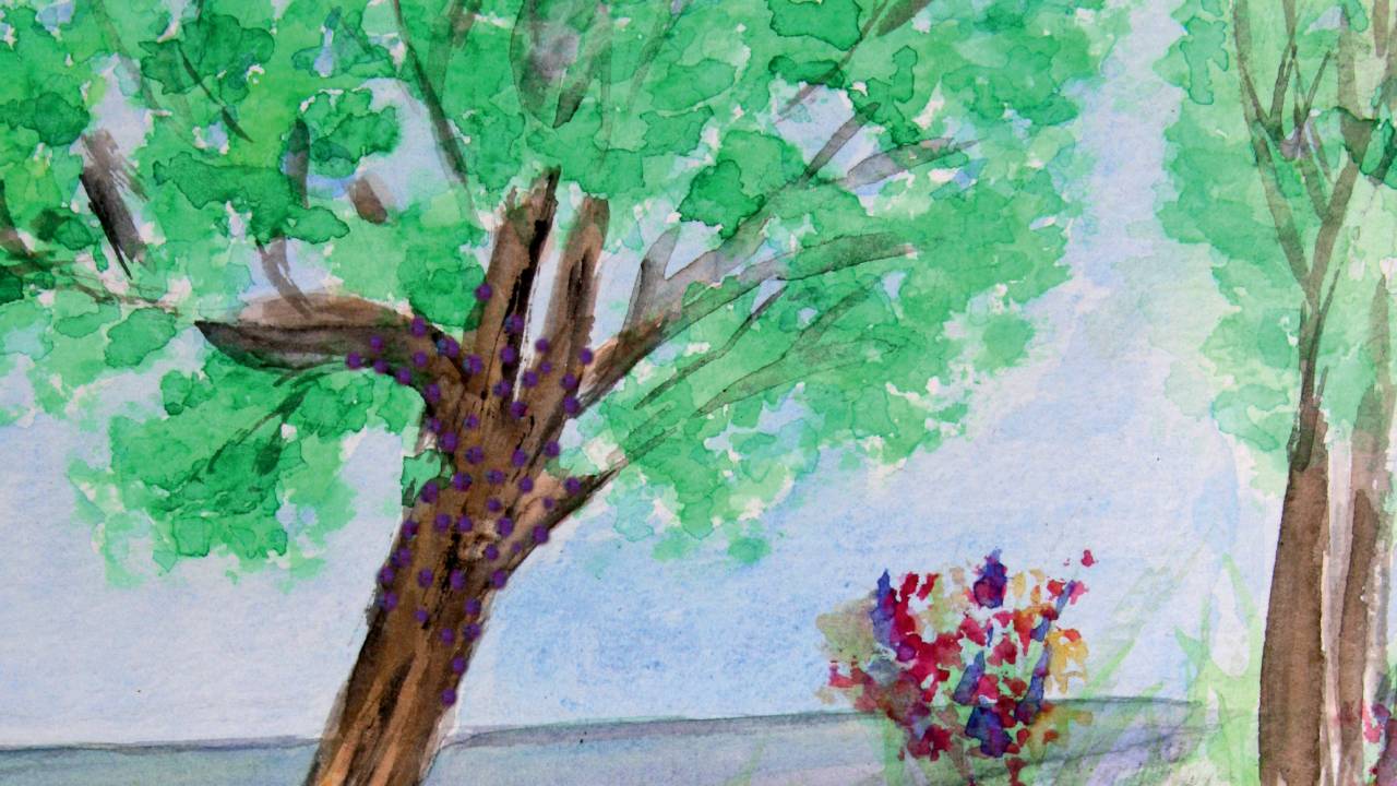 Imagem de desenho em aquarela do jardim de Claudio e Nelson