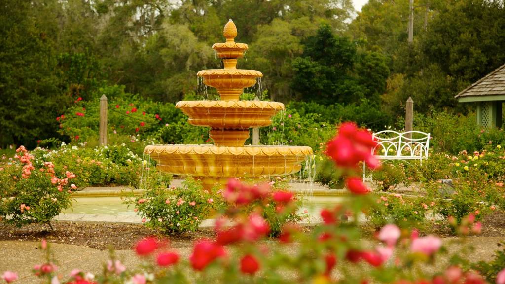 Jardim Harry P. Leu, em Orlando.