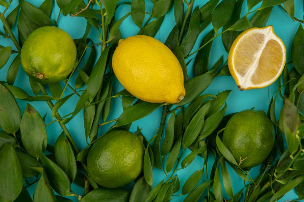 benefícios-limao-fruta-mais-saudavel Limão siciliano (maior, ao centro) e limão taiti são considerados equivalentes quando o assunto é benefício para o organismo