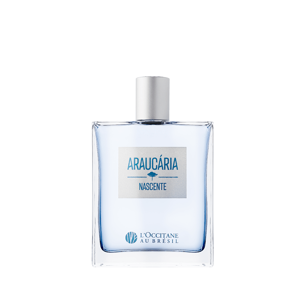 Perfumes ideais para o dia dos pais