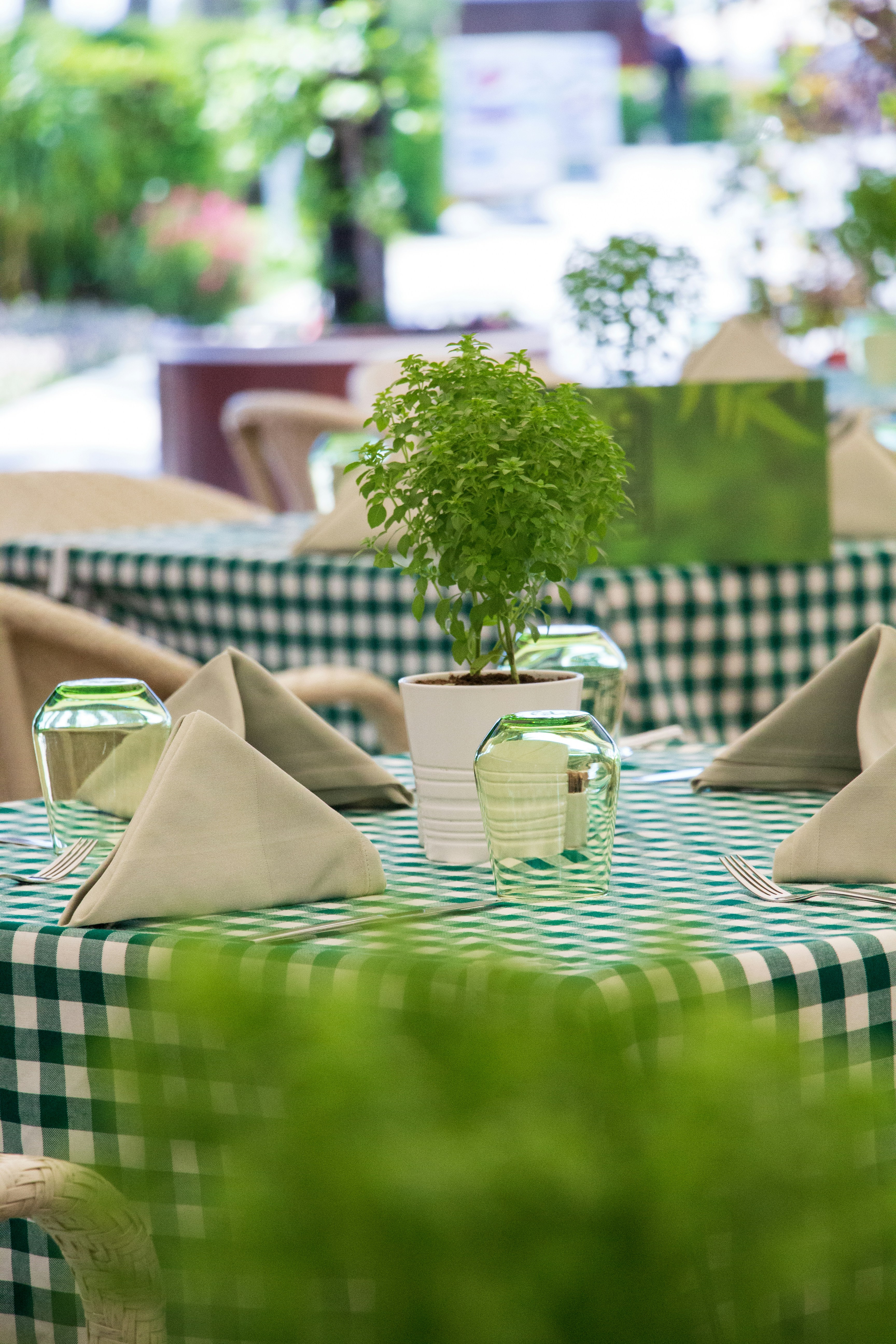 toalha xadrez charmosa para a decoração
