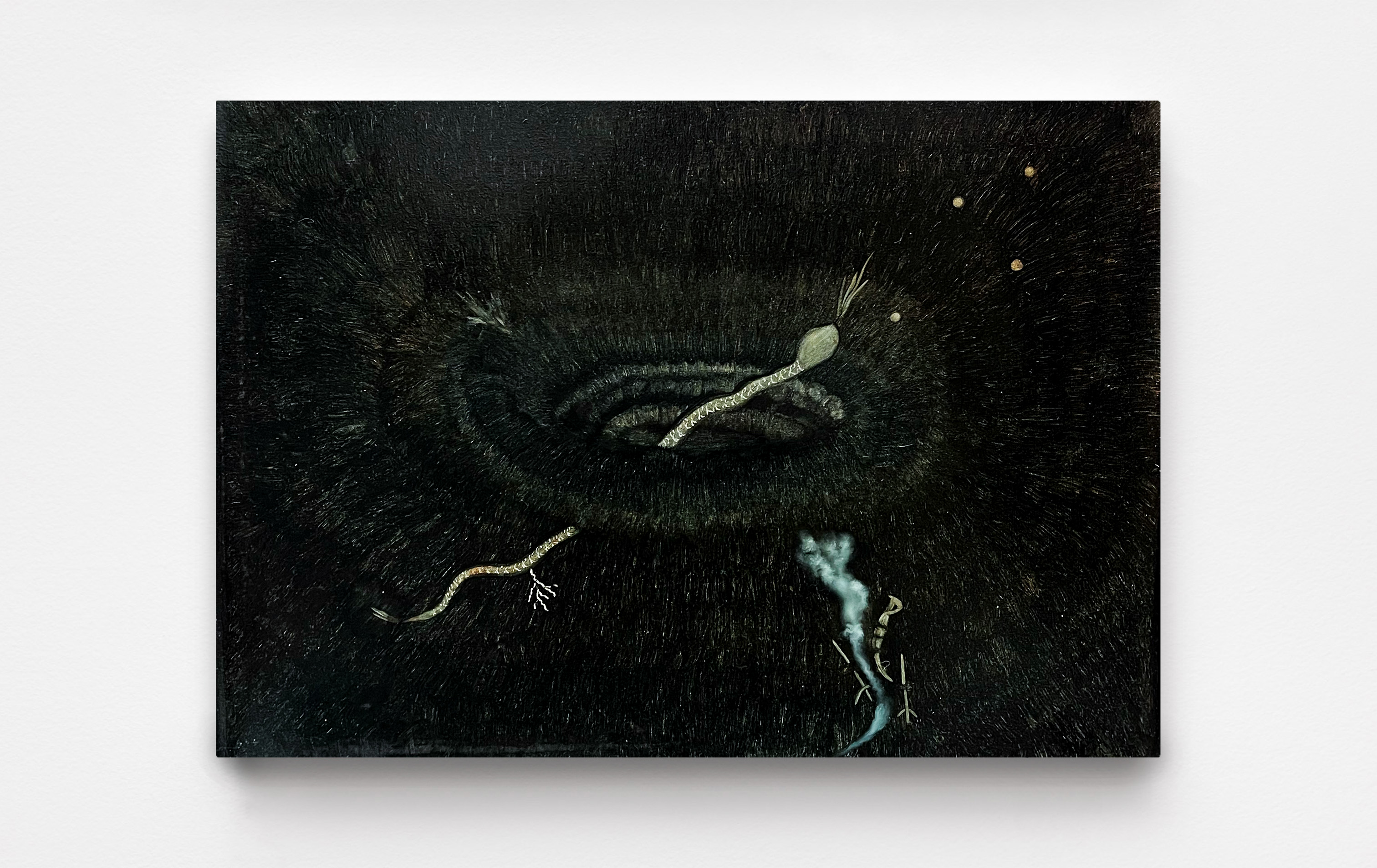Obra de Rebecca Sharp