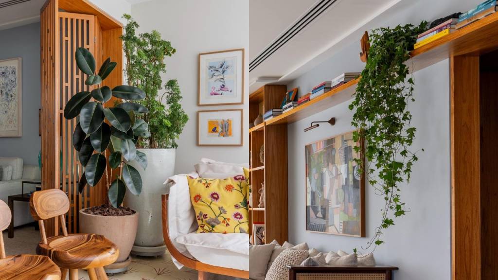 10 plantas que sobrevivem na sombra e deixam a casa mais aconchegante