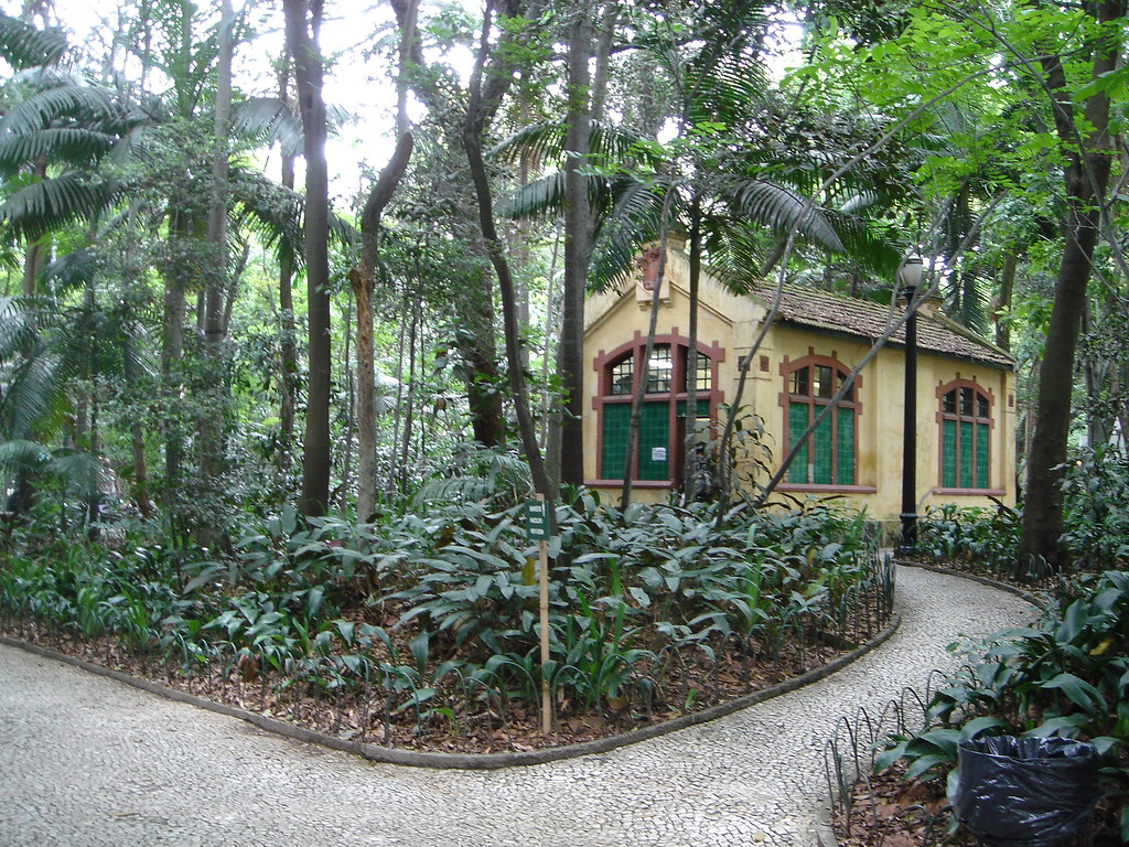 Um oásis verde em plena Avenida Paulista, o Trianon é uma das surpresas mais agradáveis da primavera. Com vegetação densa e espécies nativas da Mata Atlântica, o visitante percebe o contraste entre as flores e os prédios ao redor. É o lugar ideal para uma pausa no meio da correria urbana