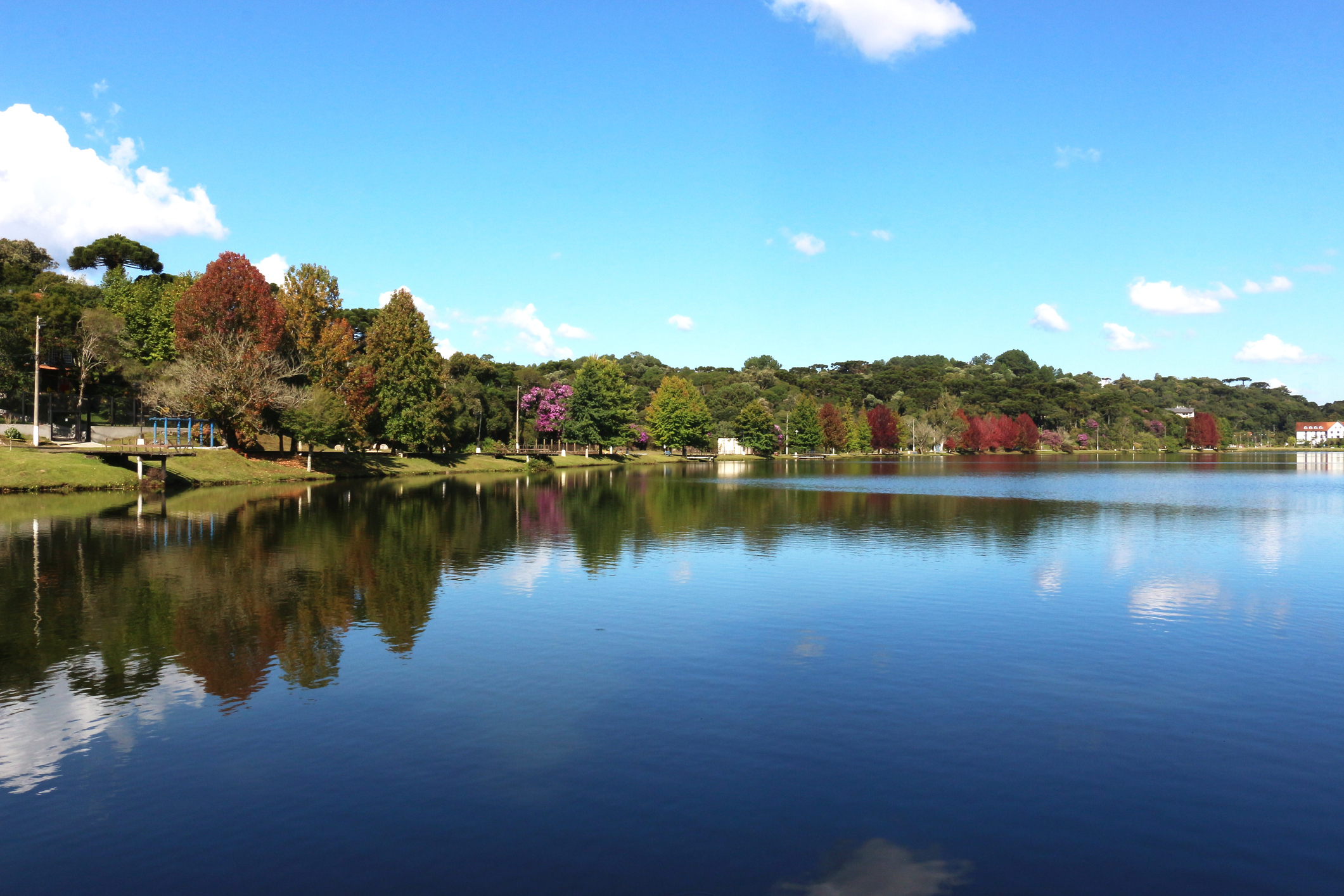 Imagem de lago e jardins de São Francisco de Paula