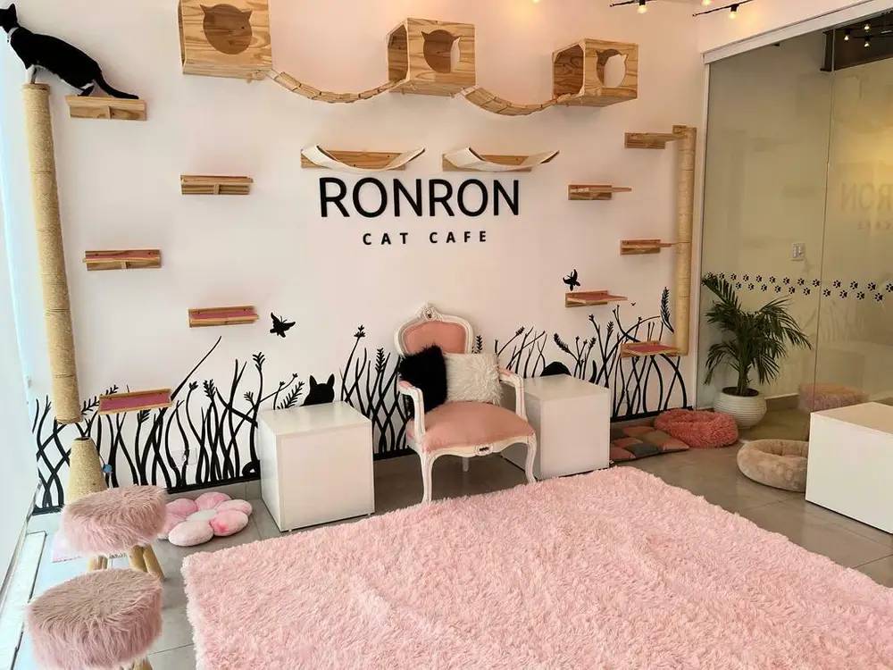 cat-cafes (1) Imagem de área de gatos no Ronron cat café