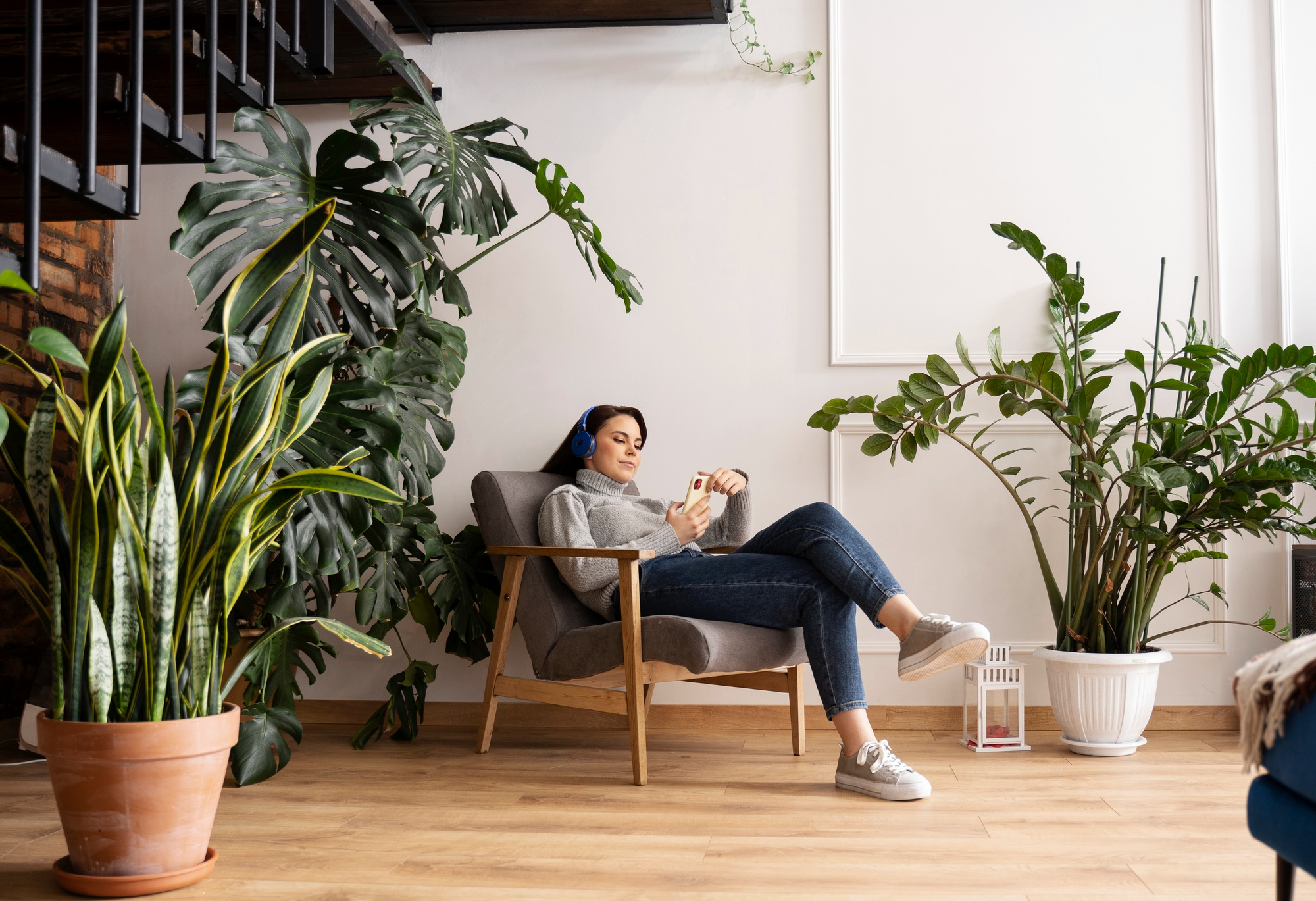 12 plantas que protegem sua casa das energias negativas de visitas
