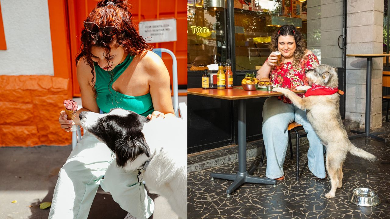 Restaurantes pet friendly em São Paulo