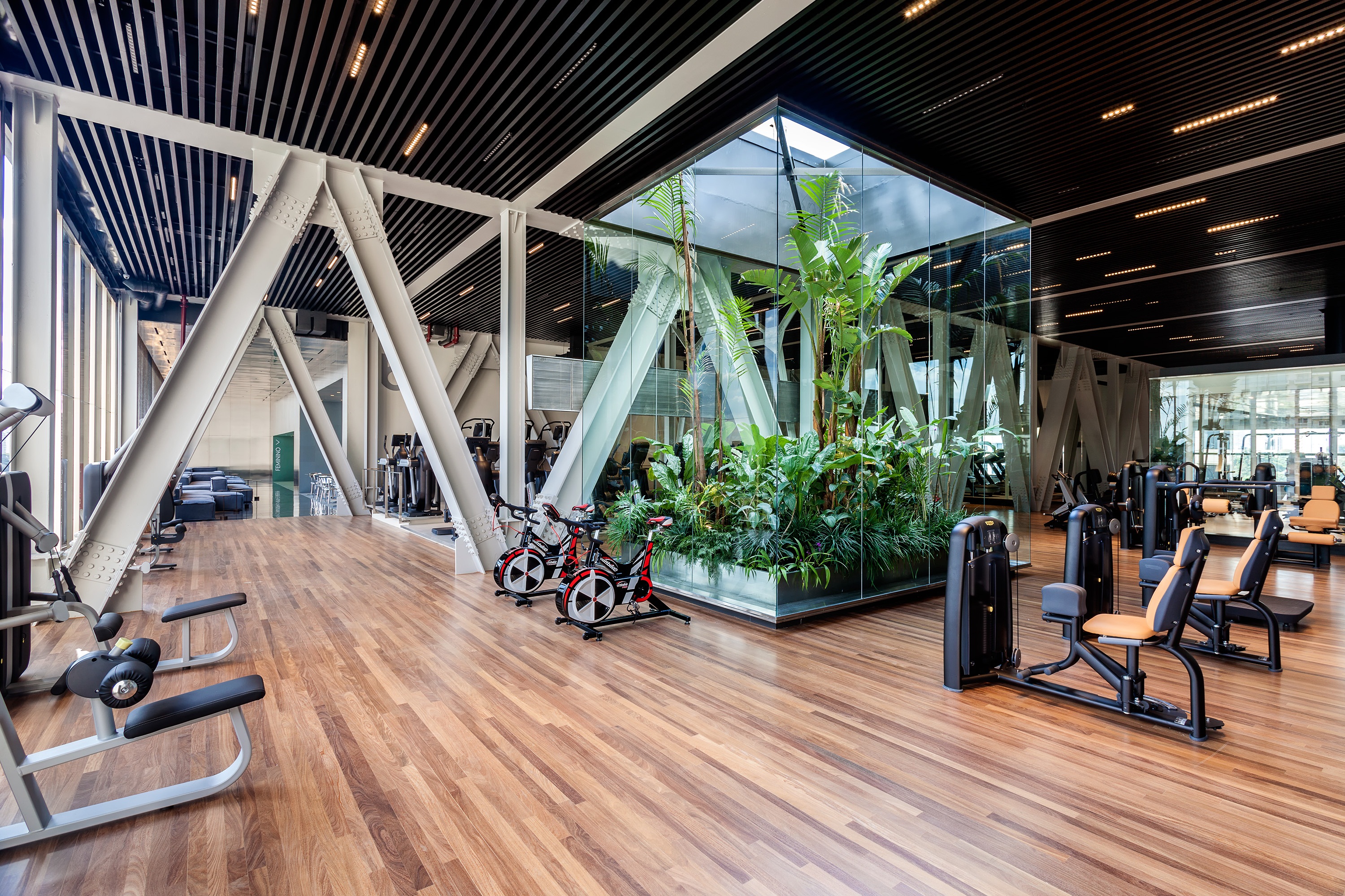 Sala de muscula&ccedil;&atilde;o com plantas ao centro da decora&ccedil;&atilde;o