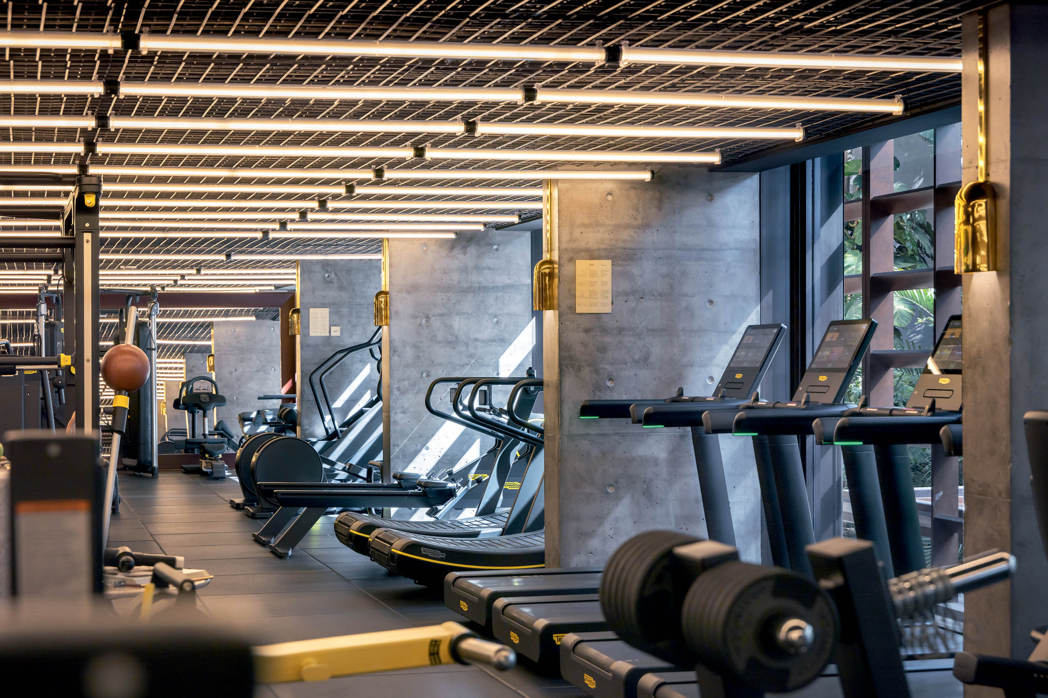 Academia luxuosa com equipamentos em core preta e luzes no teto