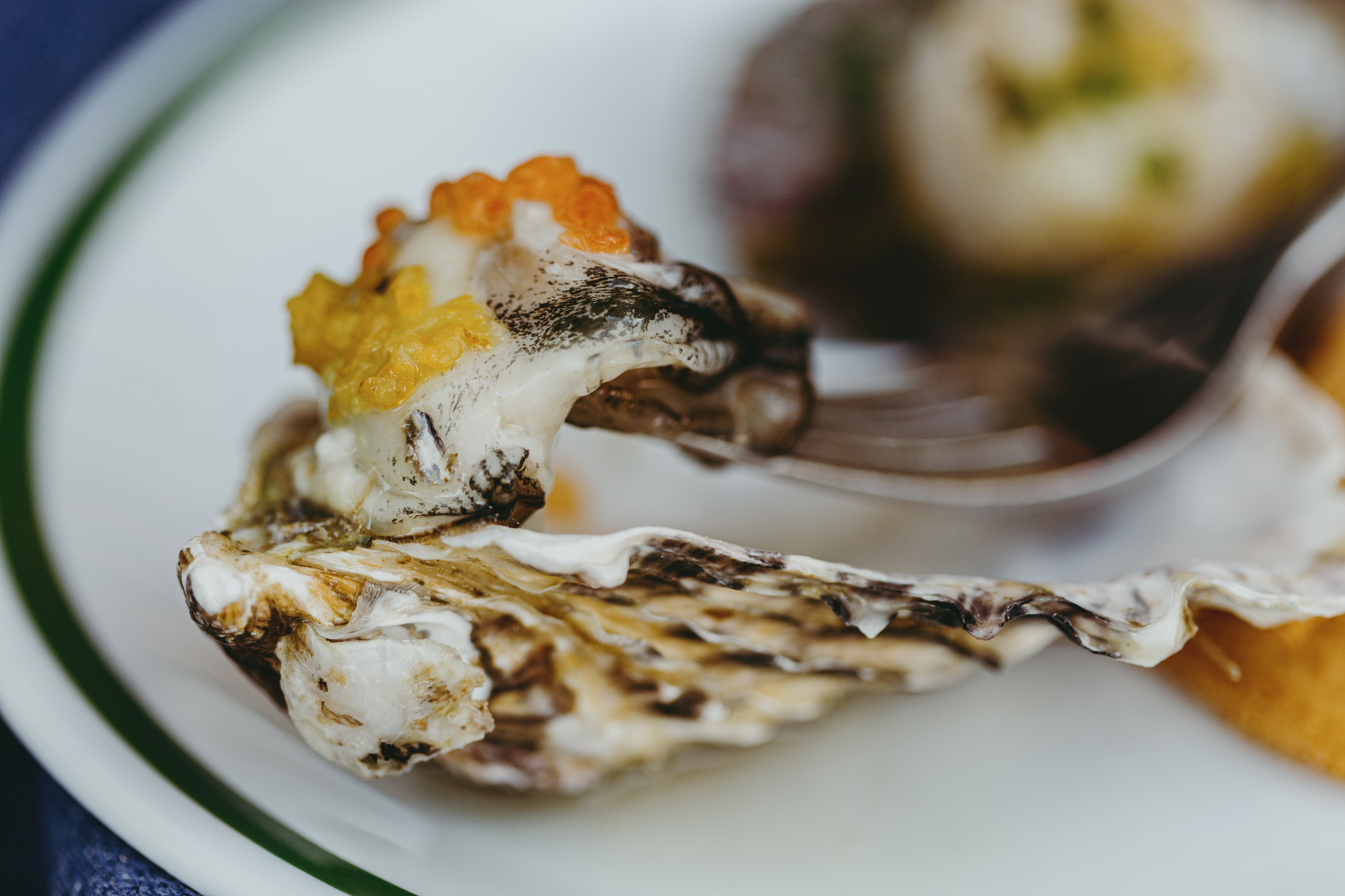 Onde comer ostras em S&atilde;o Paulo