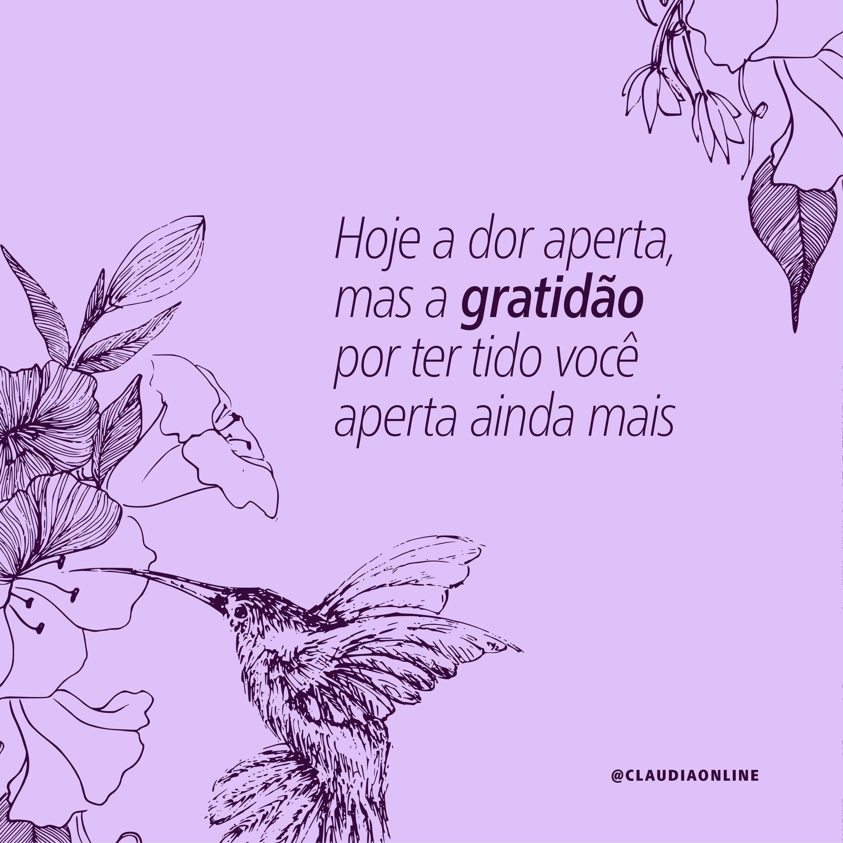 Gratidão e luz andam lado a lado nesta reflexão.