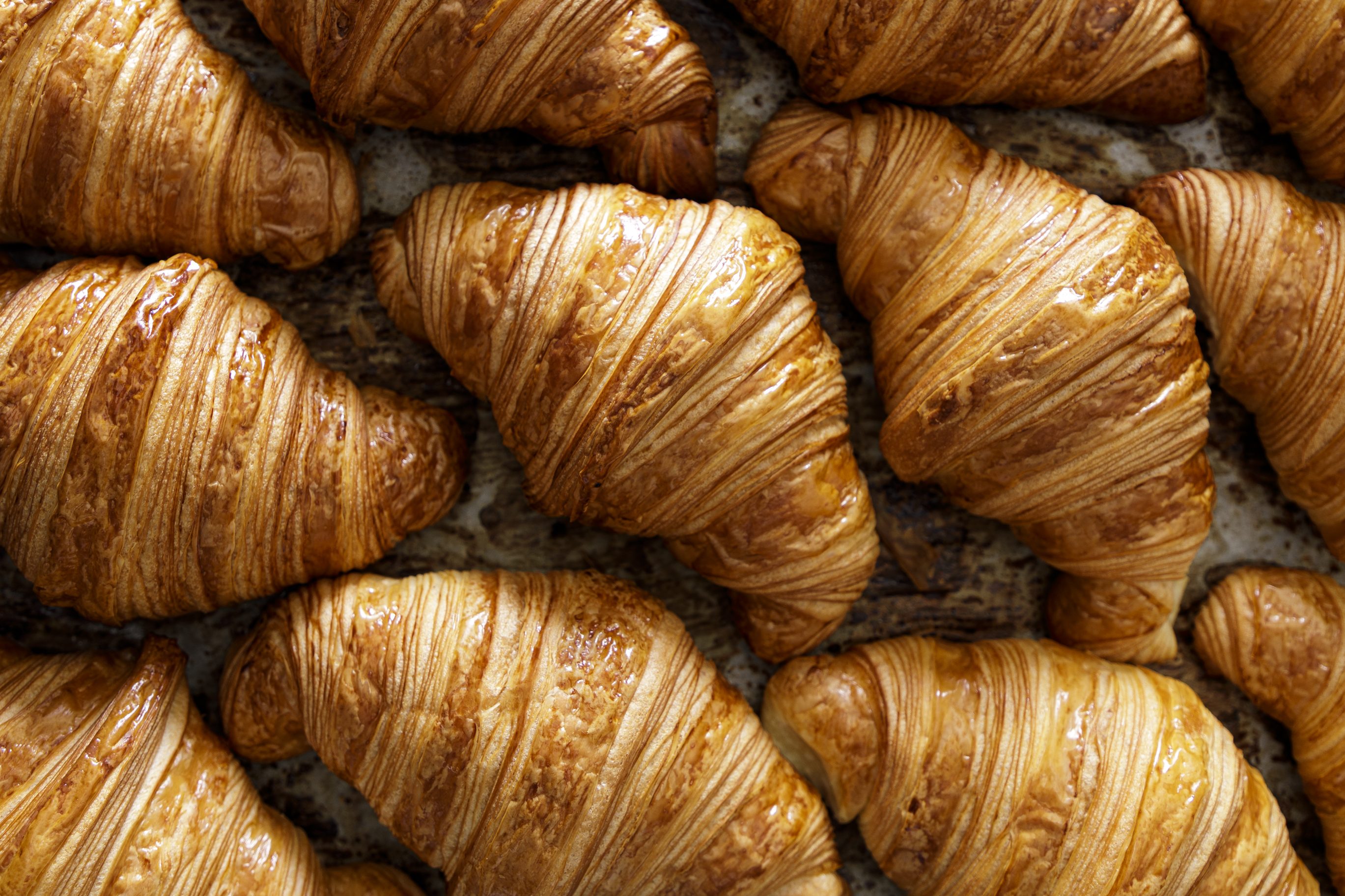 Vários croissants recém-assados, dourados e brilhantes, dispostos aleatoriamente sobre uma superfície escura, exibindo suas camadas folhadas
