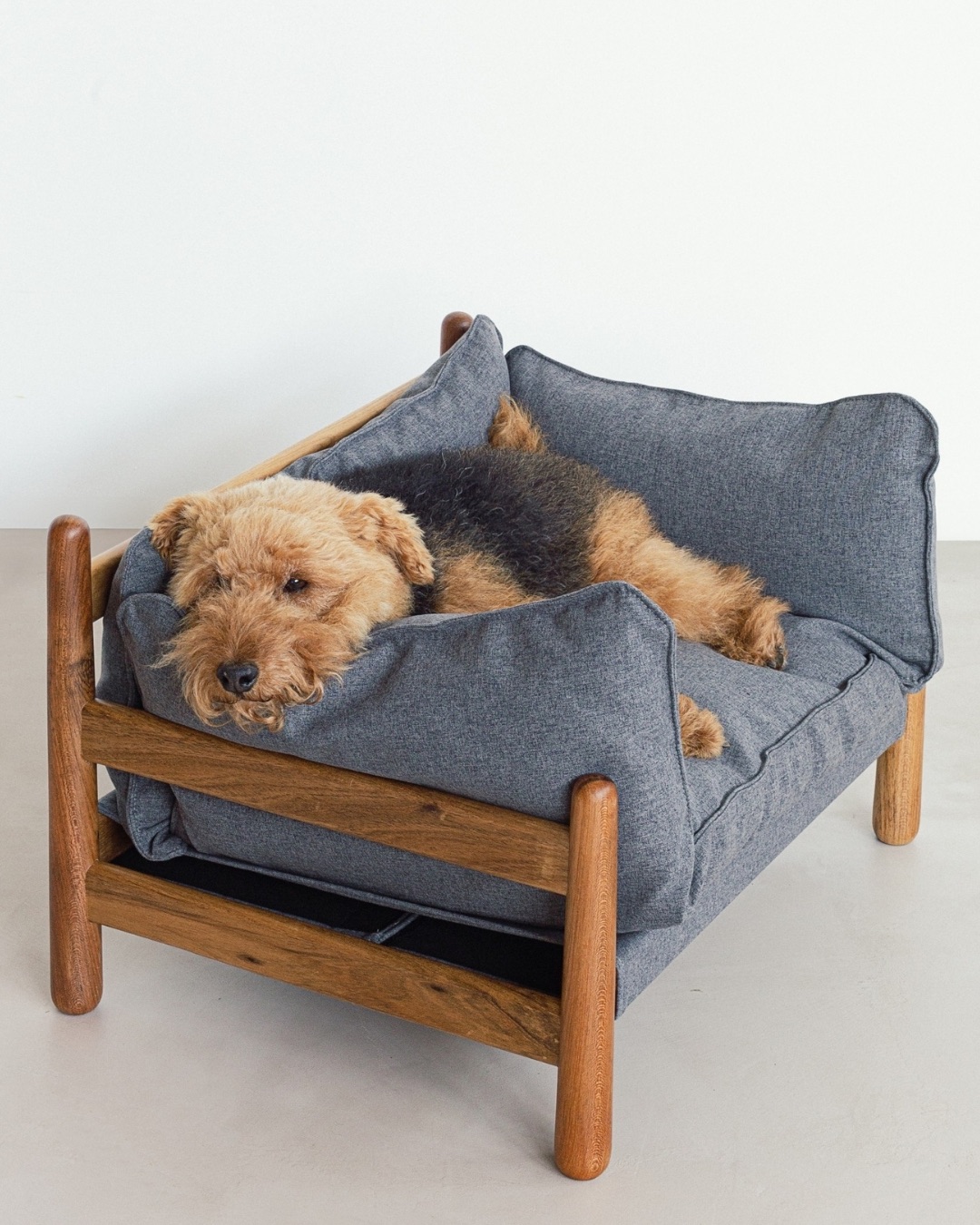 Cachorro da ra&ccedil;a Airedale Terrier, com pelos marrons e pretos, deitado confortavelmente em uma cama para pets com estrutura de madeira clara e almofada cinza, em um ambiente com parede branca e ch&atilde;o claro