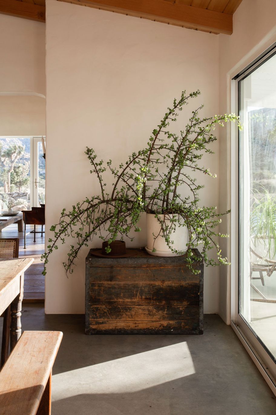 Planta verde exuberante em vaso branco sobre um ba&uacute; de madeira r&uacute;stica escura, com um chap&eacute;u marrom ao lado. &Agrave; direita, uma porta de vidro revela um p&aacute;tio ensolarado. &Agrave; esquerda, uma mesa de madeira e um banco, com luz natural e sombras no ch&atilde;o de cimento, criando uma atmosfera acolhedora e natural