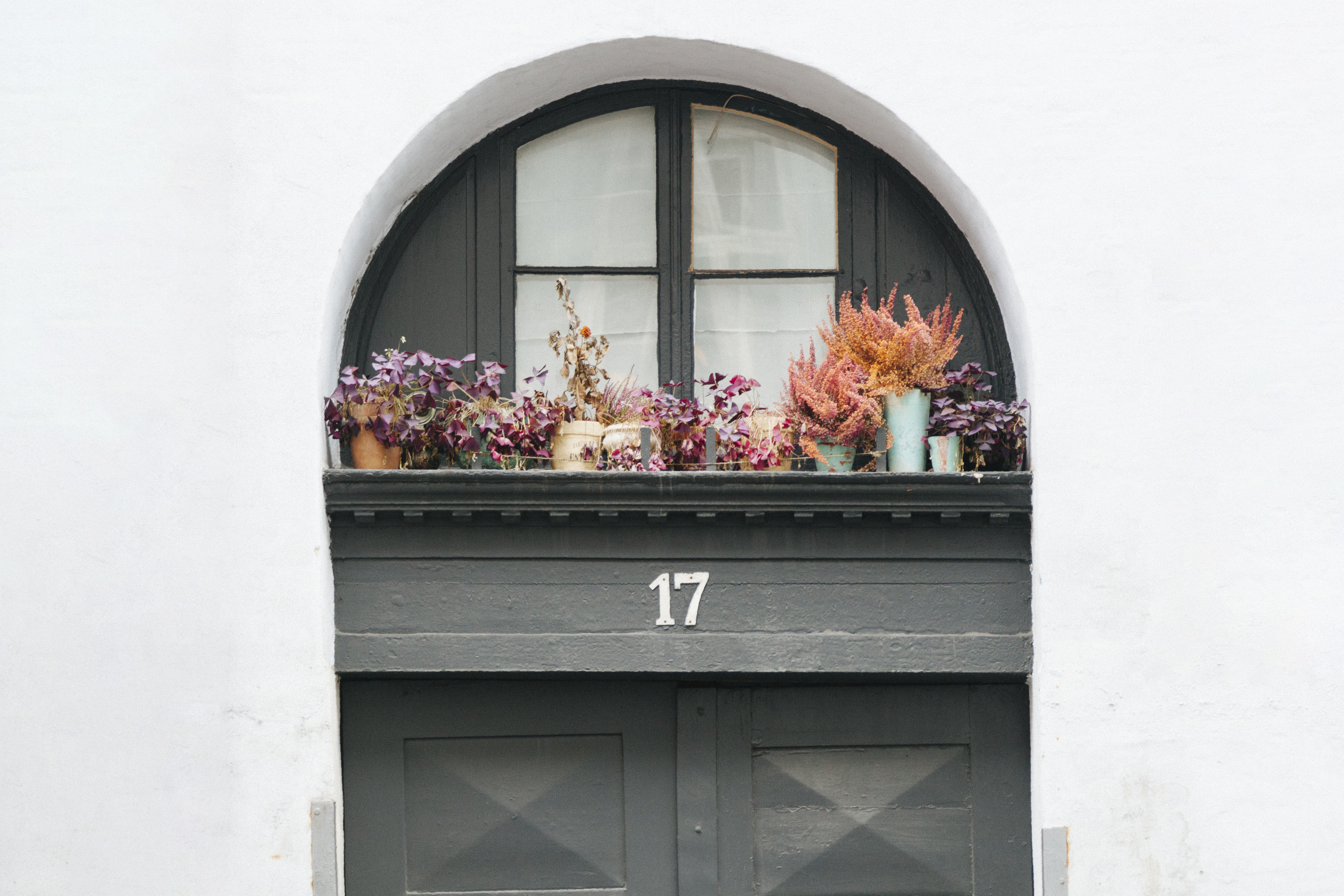 Fachada branca com janela arqueada e porta cinza escura. No parapeito da janela, vasos com plantas de folhas roxas e flores alaranjadas. O n&uacute;mero 17 est&aacute; centralizado acima da porta